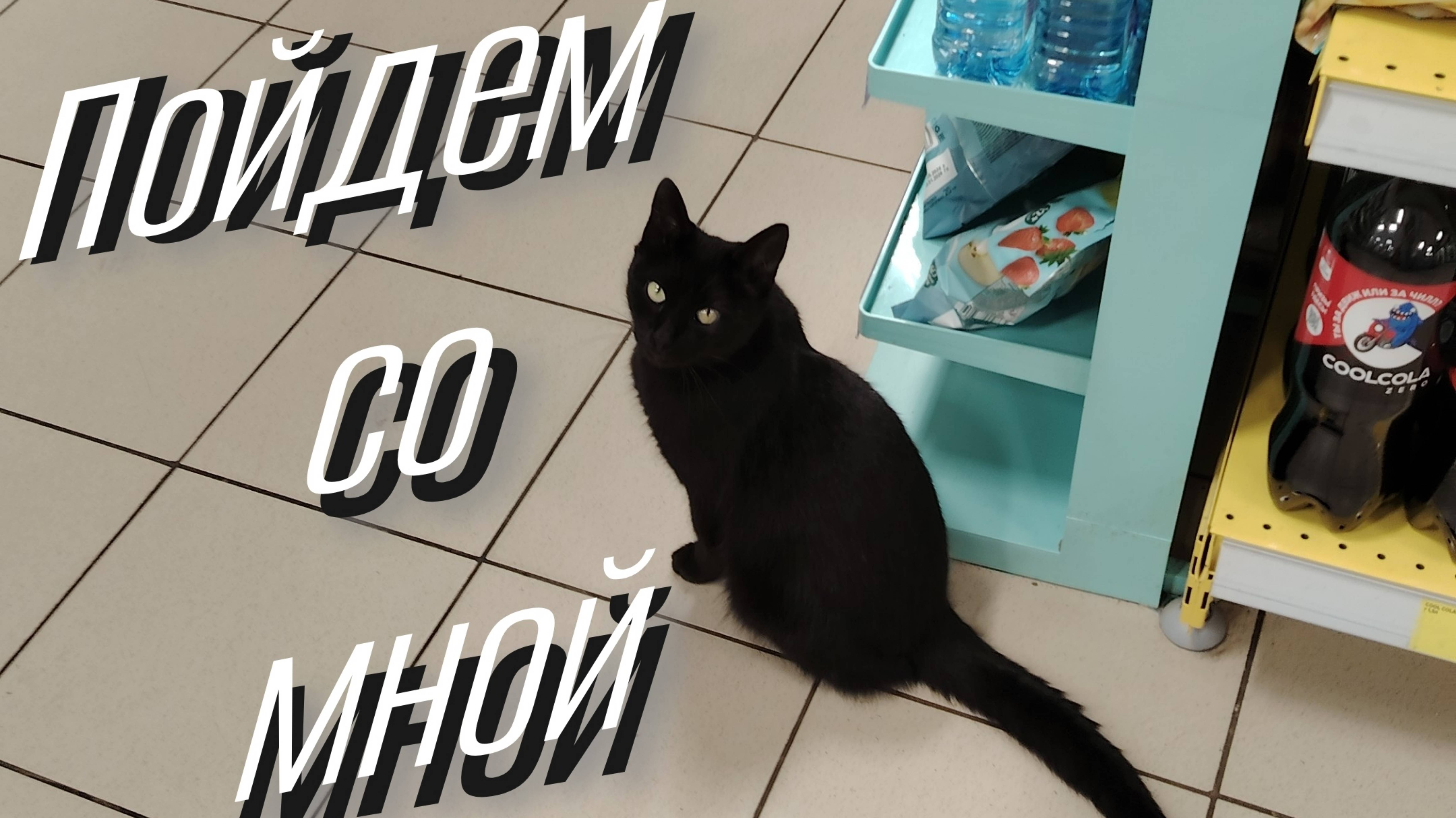 Прогулка до магнита