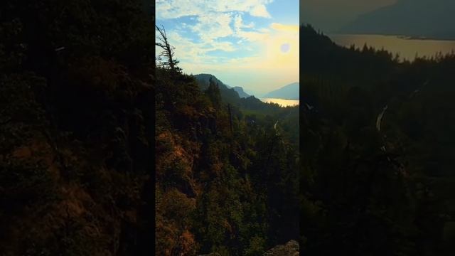 1000034405.mp4