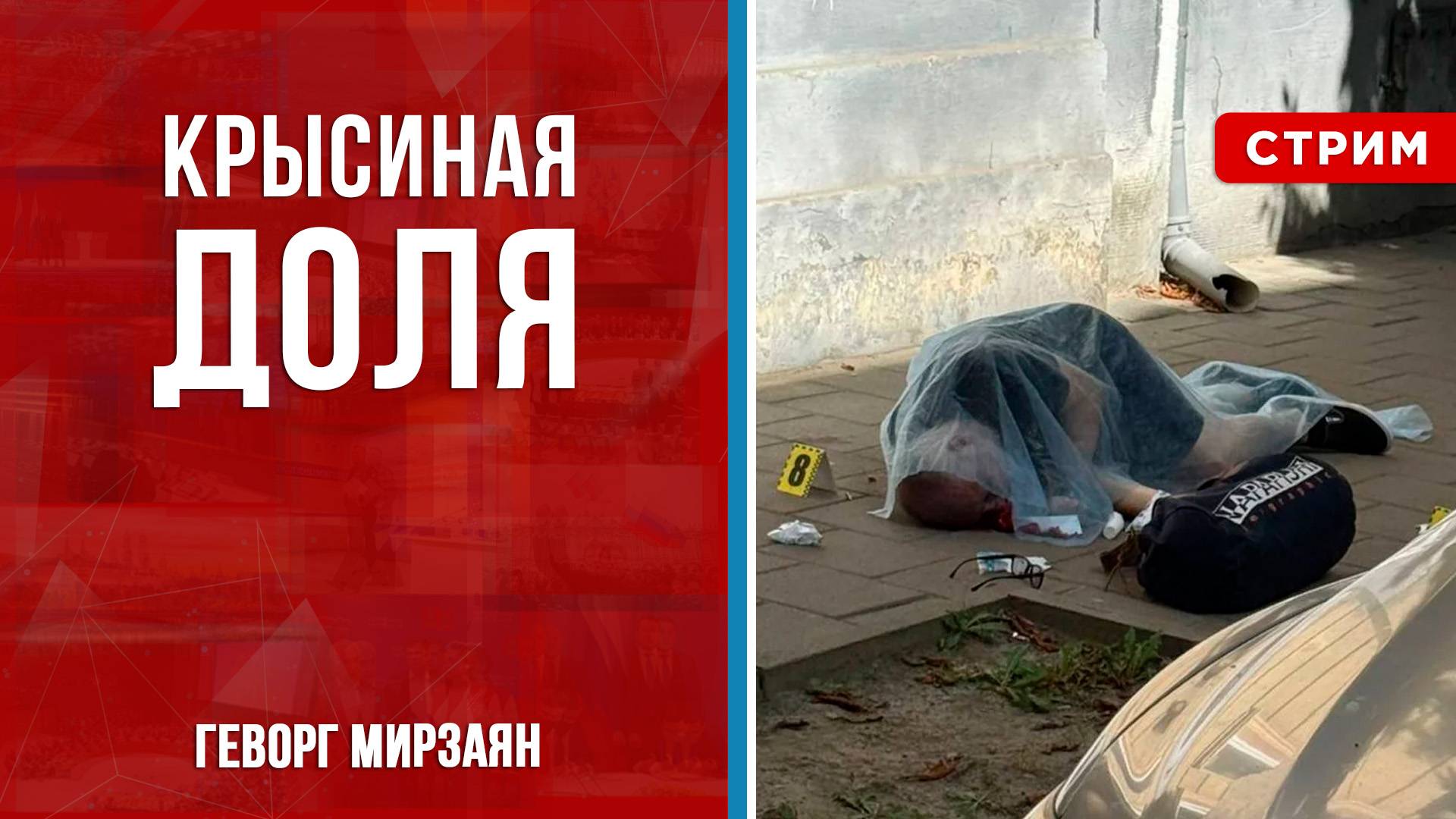 Крысиная доля [Геворг Мирзаян. СТРИМ]