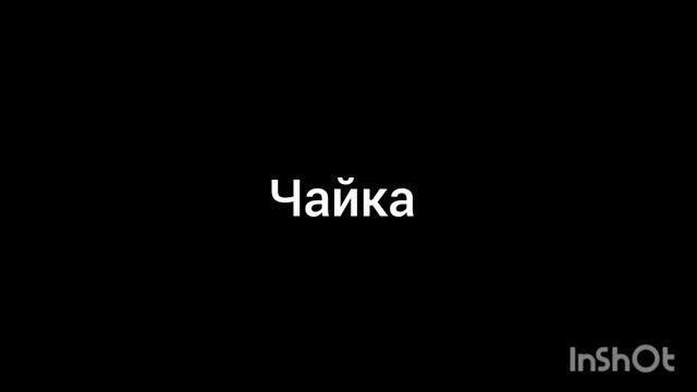 чайка