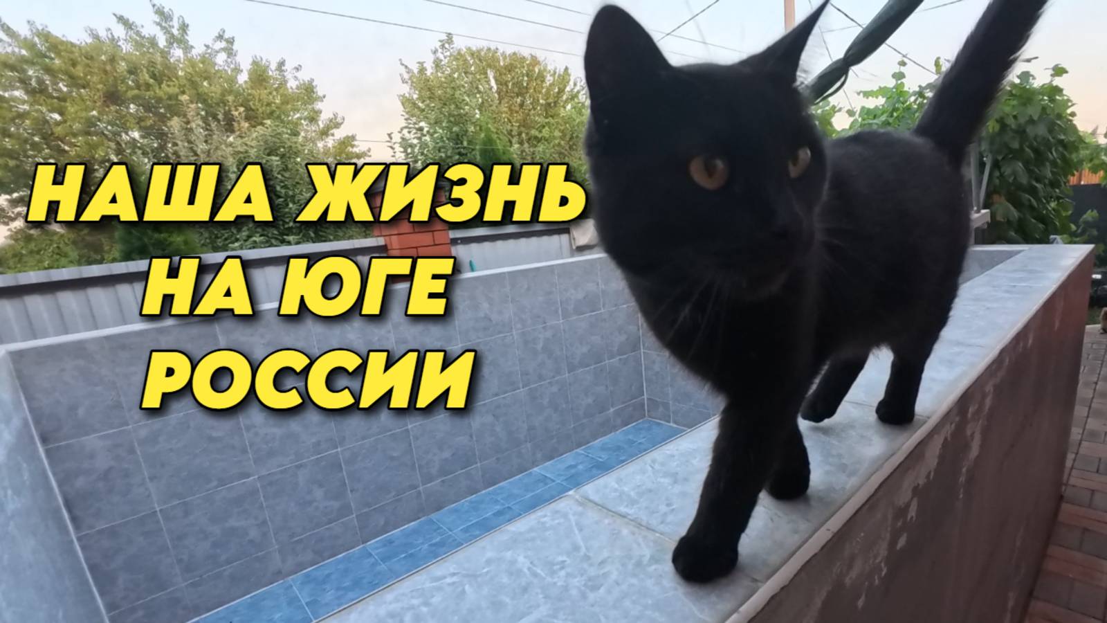970 Тротуарная плитка своими руками/Жизнь на Кубани/Купили дом на юге