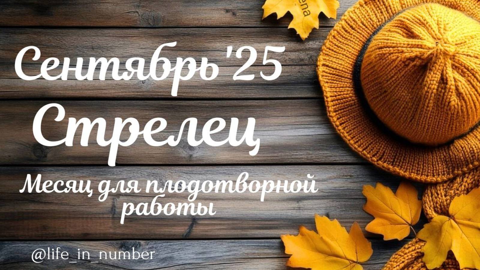 СТРЕЛЕЦ СЕНТЯБРЬ 2025 ПРОГНОЗ