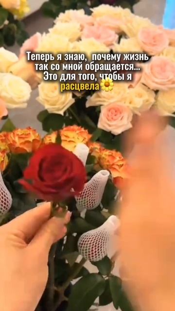 #испытания #психология