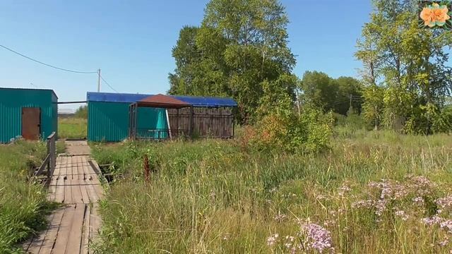Минеральный источник. Село Юргинское ,Тюменской области.