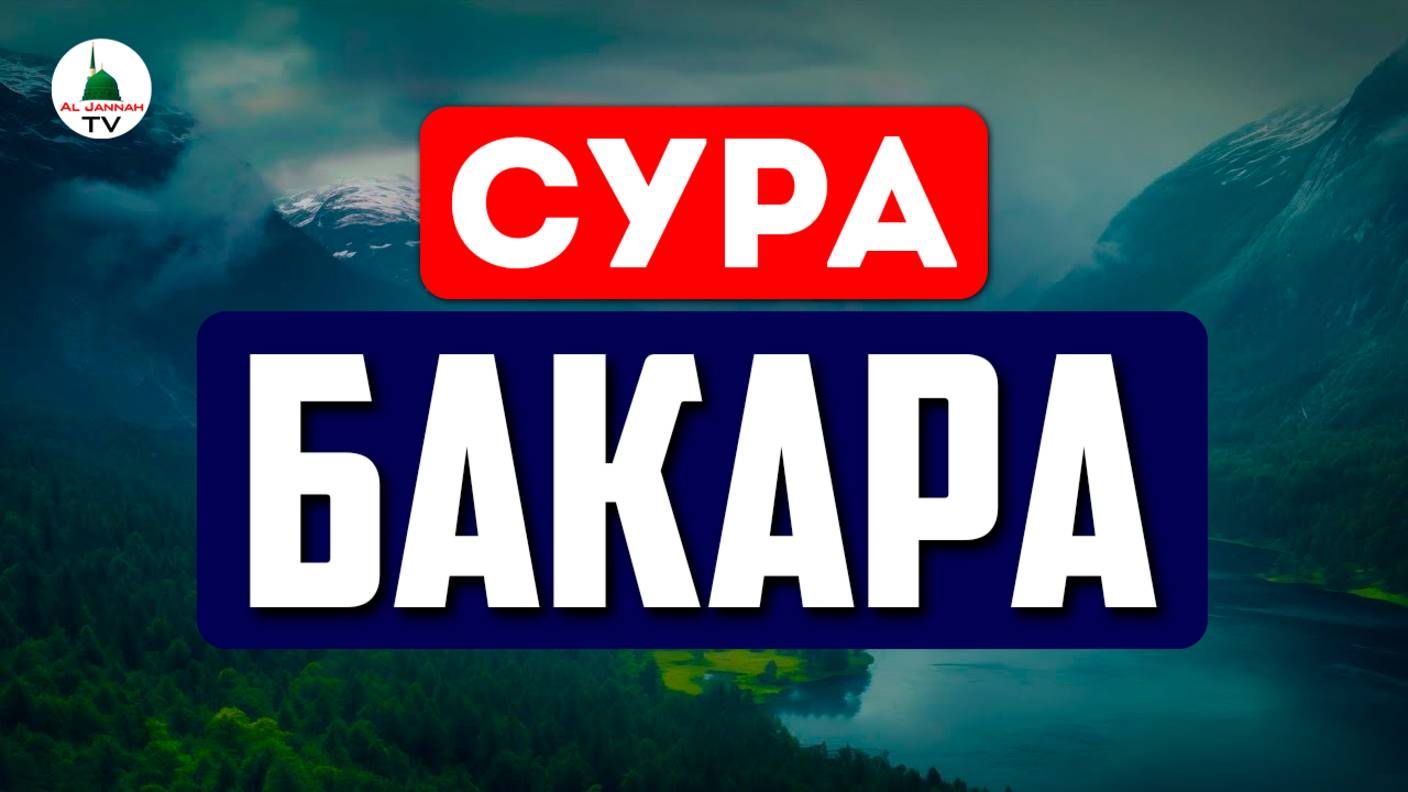 Сура БАКАРА. Коран. Слушать каждый день