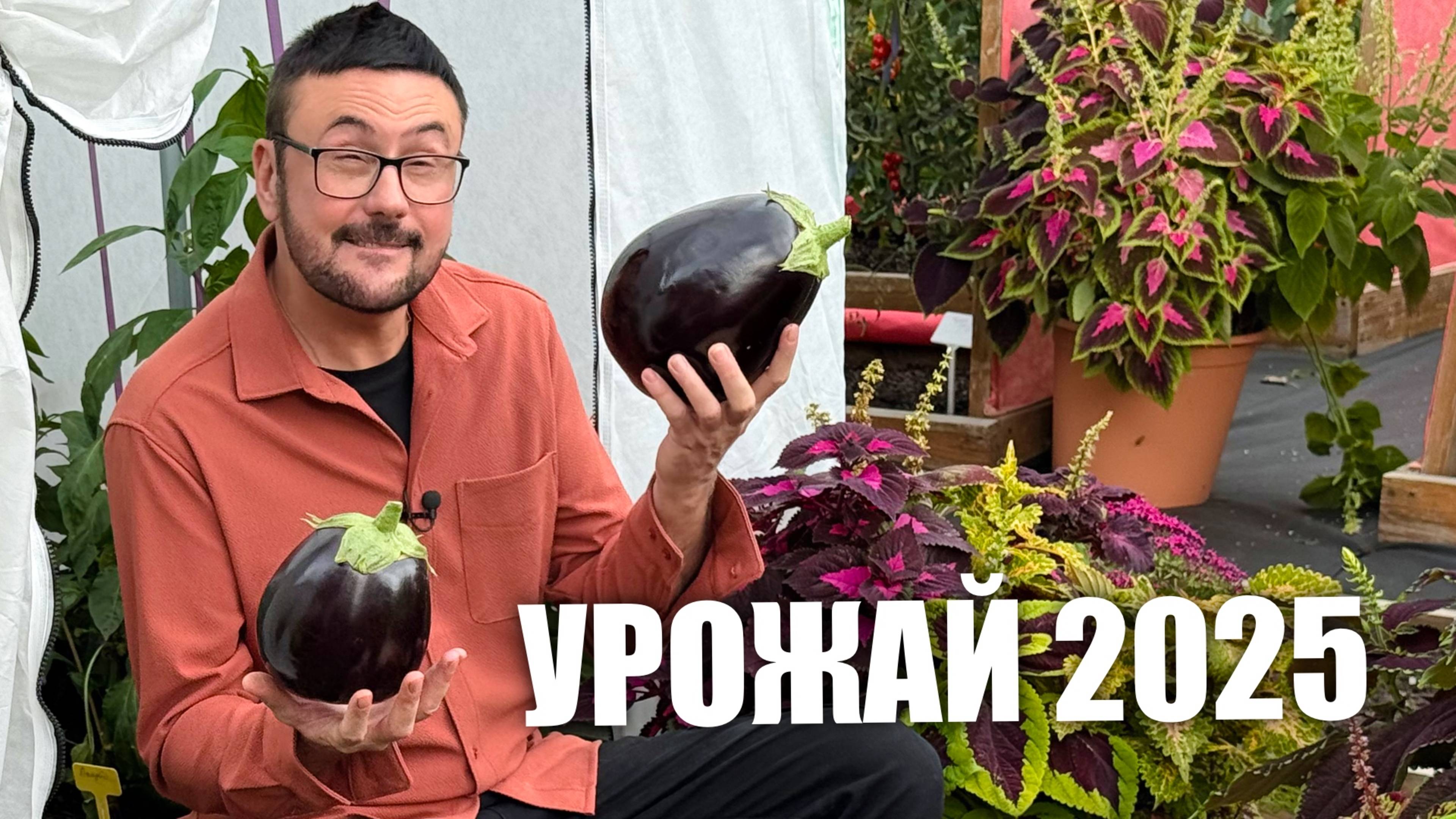 Посмотрите на мой урожай в конце лета.