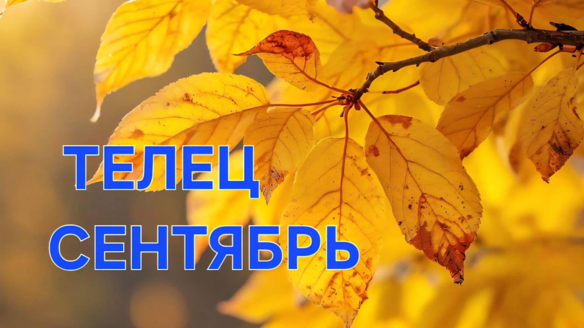 ТЕЛЕЦ. ТАРО ПРОГНОЗ НА СЕНТЯБРЬ