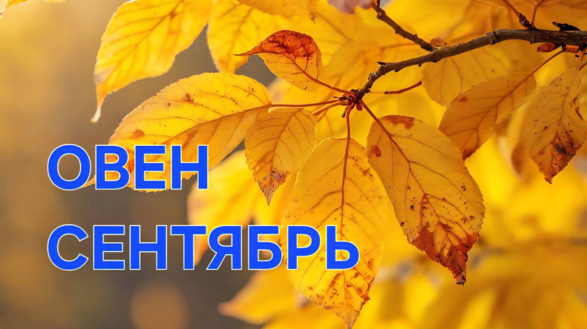 ОВЕН. ТАРО ПРОГНОЗ НА СЕНТЯБРЬ
