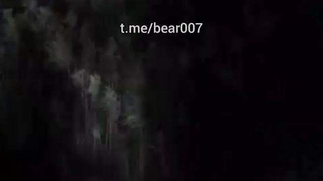 Отряд Анвар зачищает буферную зону Сумской и Черниговской областей от украинских боевиков- -...