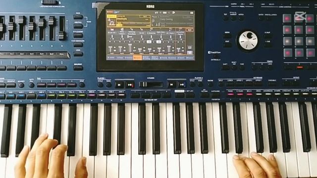 New Italo Disco Style / Korg Pa5x