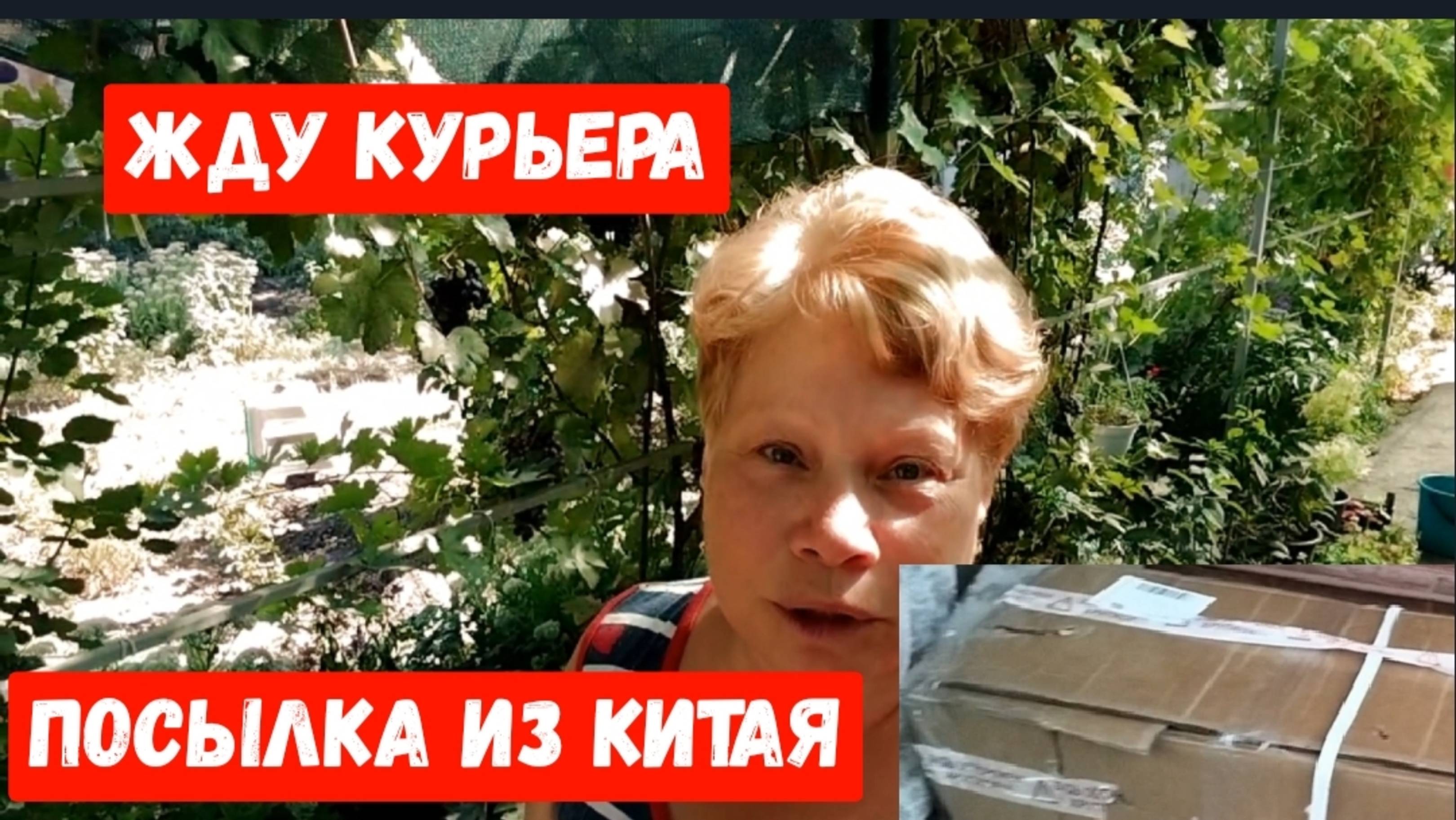 #75🌷Посылка из Китая/Жду курьера/Собрала семена укропа и лука/Уборка на летней кухне/Полив