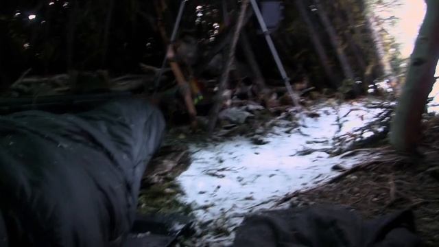 В изоляции 6 сезон 5 серия «Убийство» (документальный сериал, 2019)
