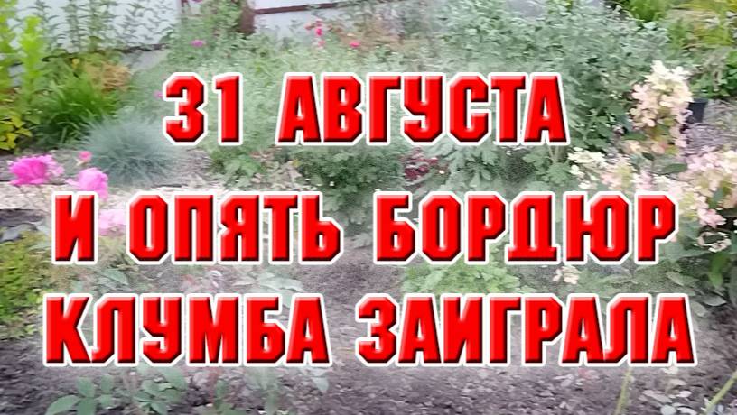 31 августа. Доделала бордюр. Привела в порядок клумбу