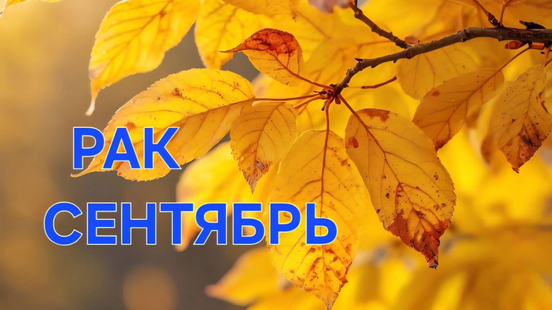 РАК. ТАРО ПРОГНОЗ НА СЕНТЯБРЬ