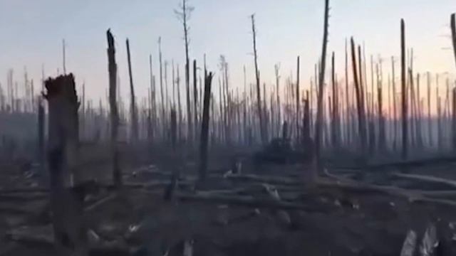 Фронтовая сводка 1 сентября 2025