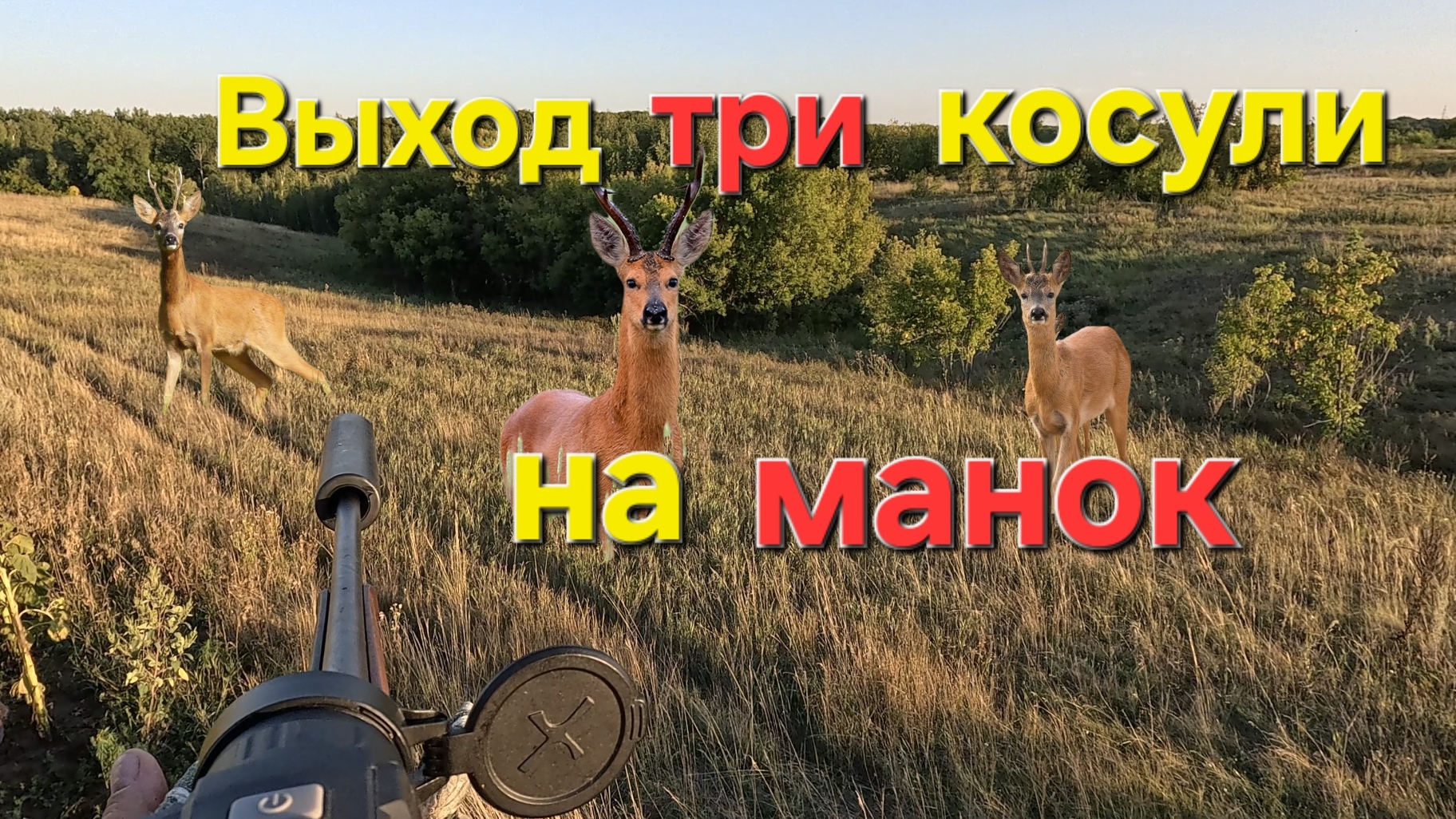 Охота на косулю с манком .Три козла,трудный выбор, у кого какие рога.2025