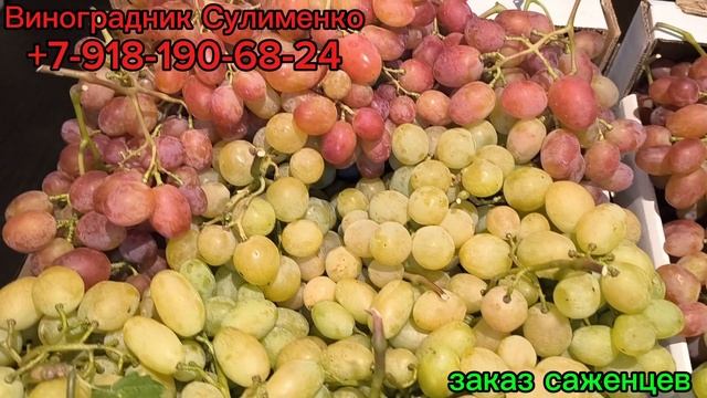 Рыночный виноград.