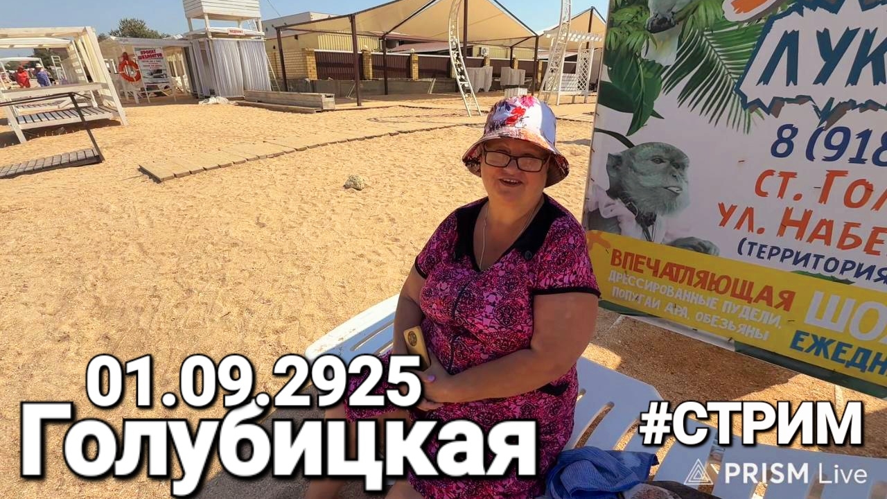Азовские Мальдивы Прямой эфир #Стрим 01.09.2025 Голубицкая - Южный берег Азовского моря