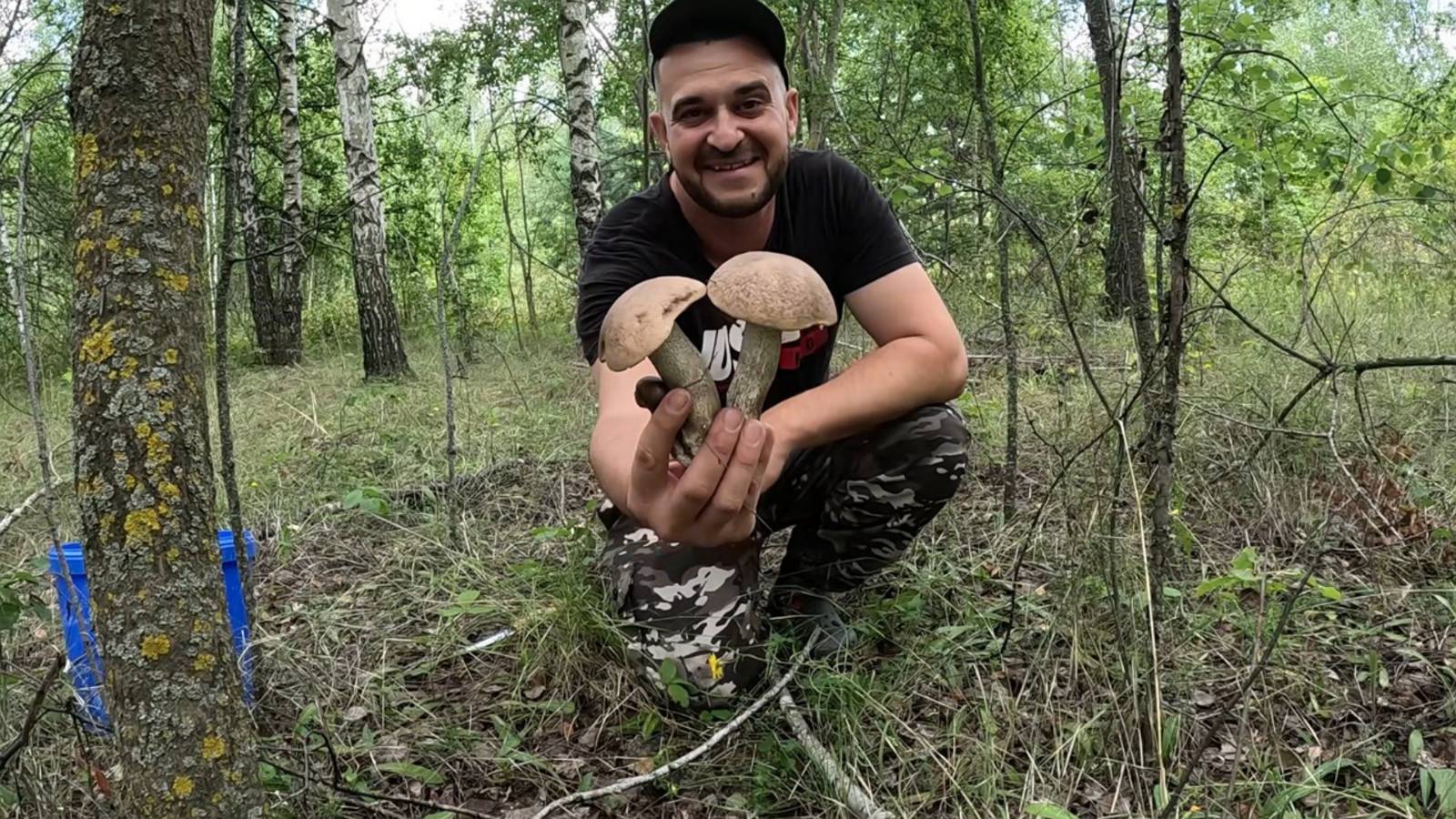 У ГРИБНИКА ПРОПАЛ ДАР РЕЧИ!!! Нашел нетронутый лес. Сбор грибов