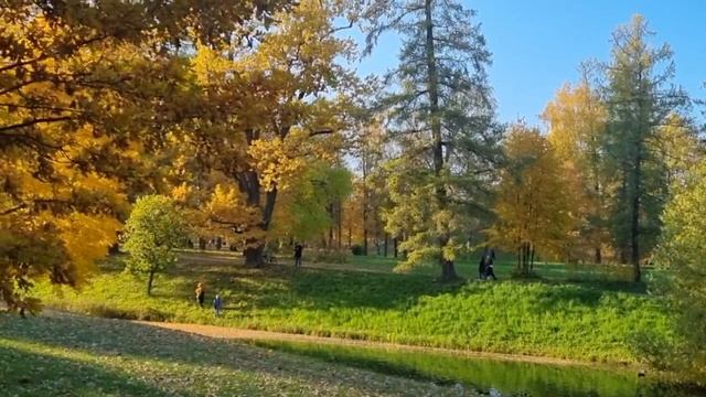 Сентябрь взошел на пьедестал 🍂
