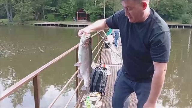 Форель реагирует на лёгкие приманки, но реализовать поклёвки непросто. Клёвое место, Лосиный остров