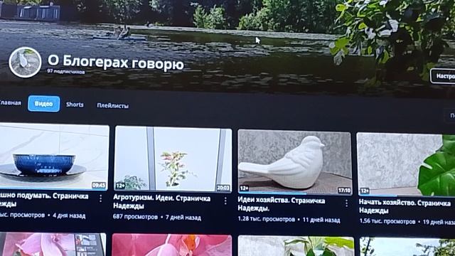 Ничего не получилось. Страничка Надежды