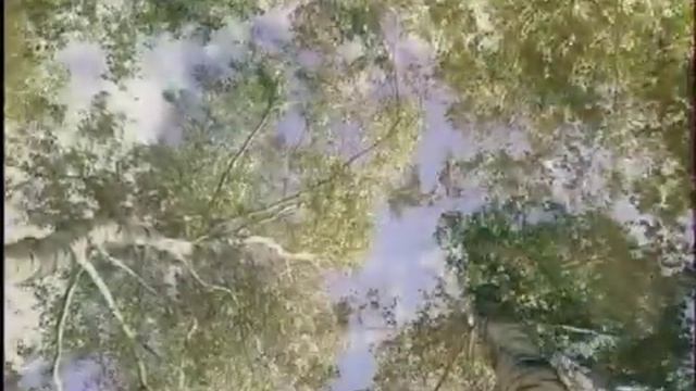 Анна Герман - жизнь и творчество — СВЕТИТ НЕЗНАКОМАЯ ЗВЕЗДА — Раскрывая тайны звезд НАДЕЖДА_ТВ