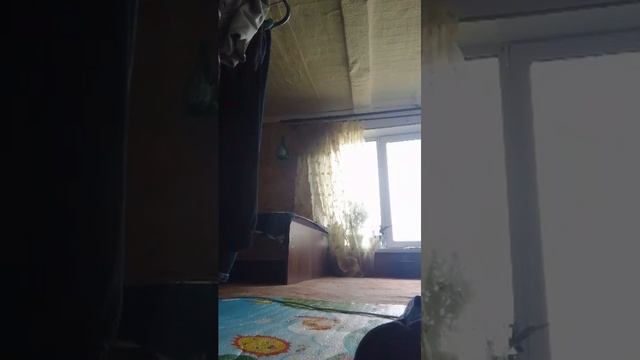 1сентября