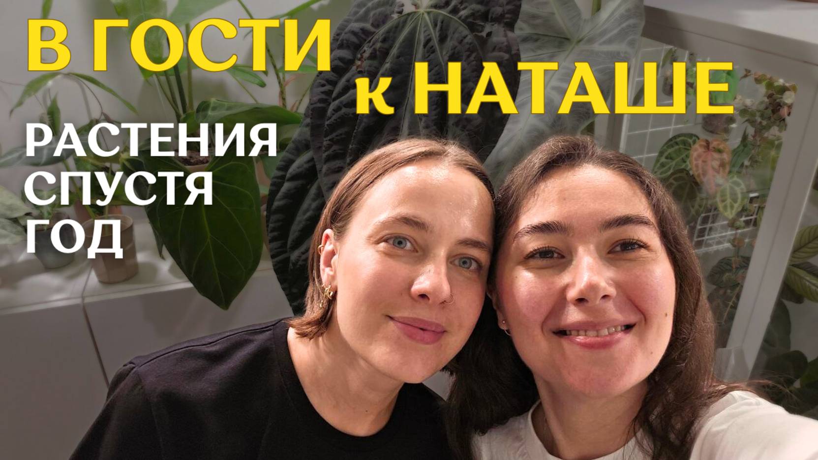 ИНТЕРЬЕРНОЕ размещение РАСТЕНИЙ | разнообразная и СТИЛЬНАЯ КОЛЛЕКЦИЯ растений | в гостях У НАТАШИ🪴