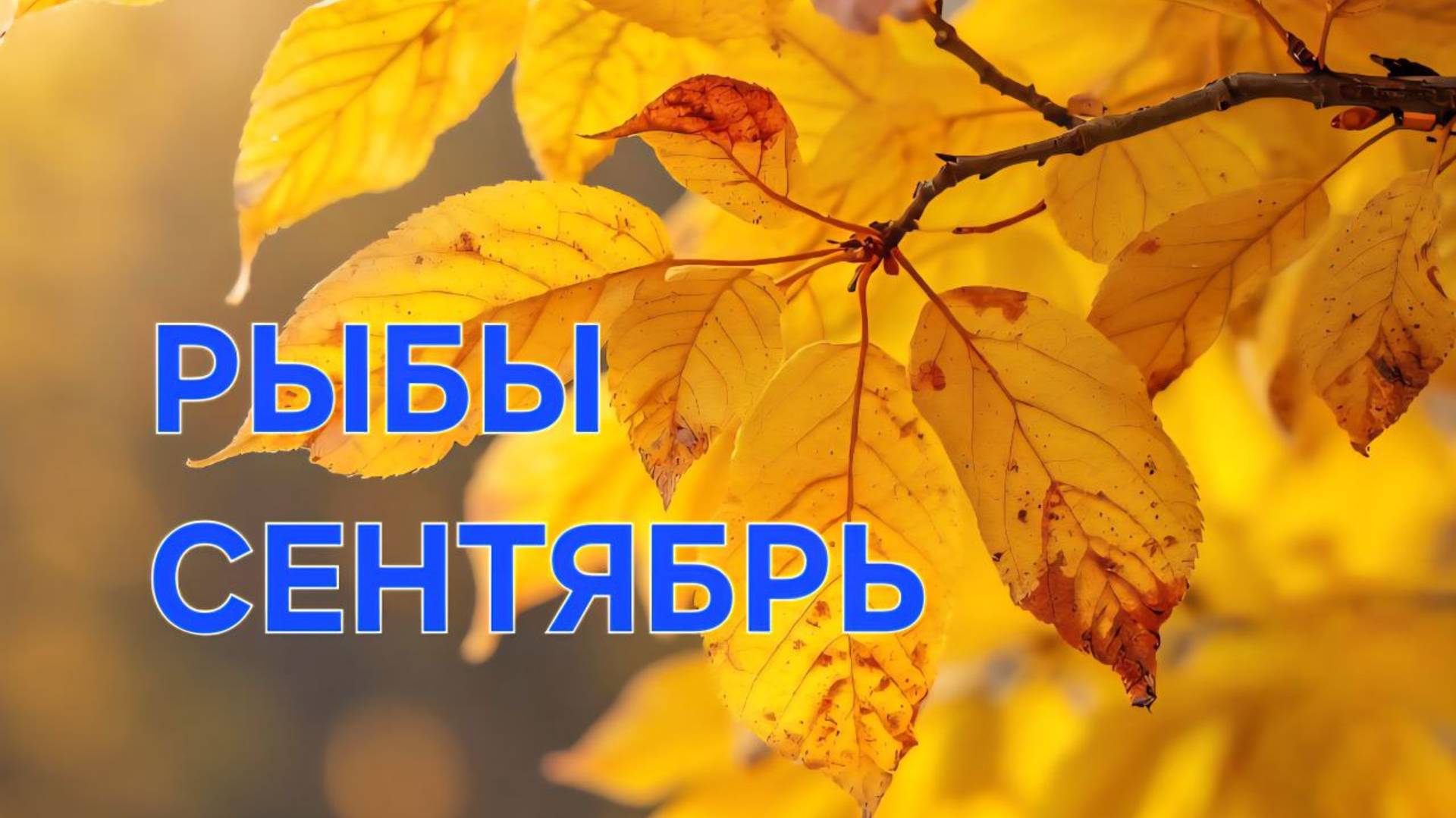 РЫБЫ. ТАРО ПРОГНОЗ НА СЕНТЯБРЬ