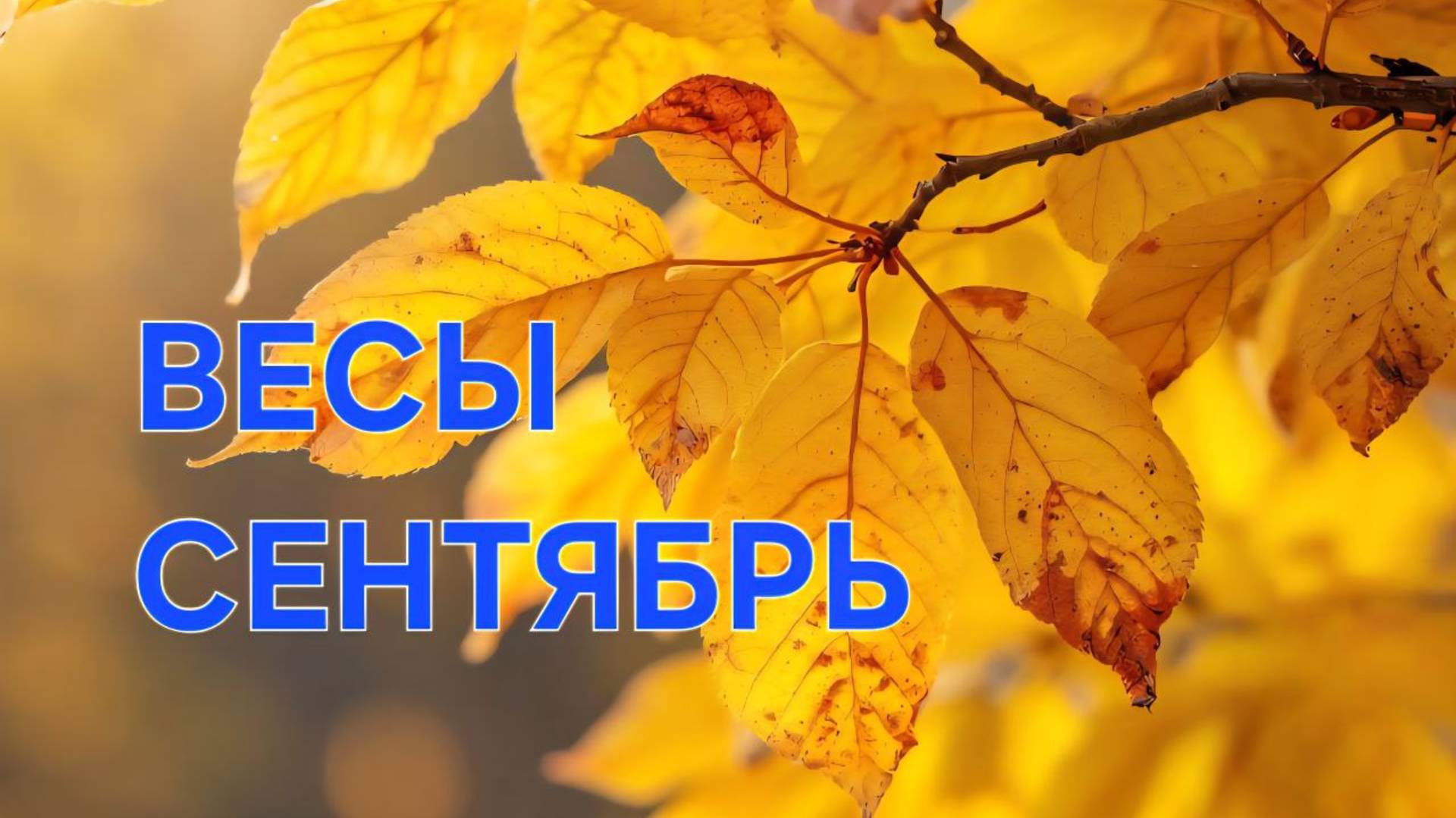 ВЕСЫ. ТАРО ПРОГНОЗ НА СЕНТЯБРЬ