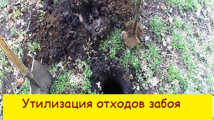 Утилизация отходов забоя