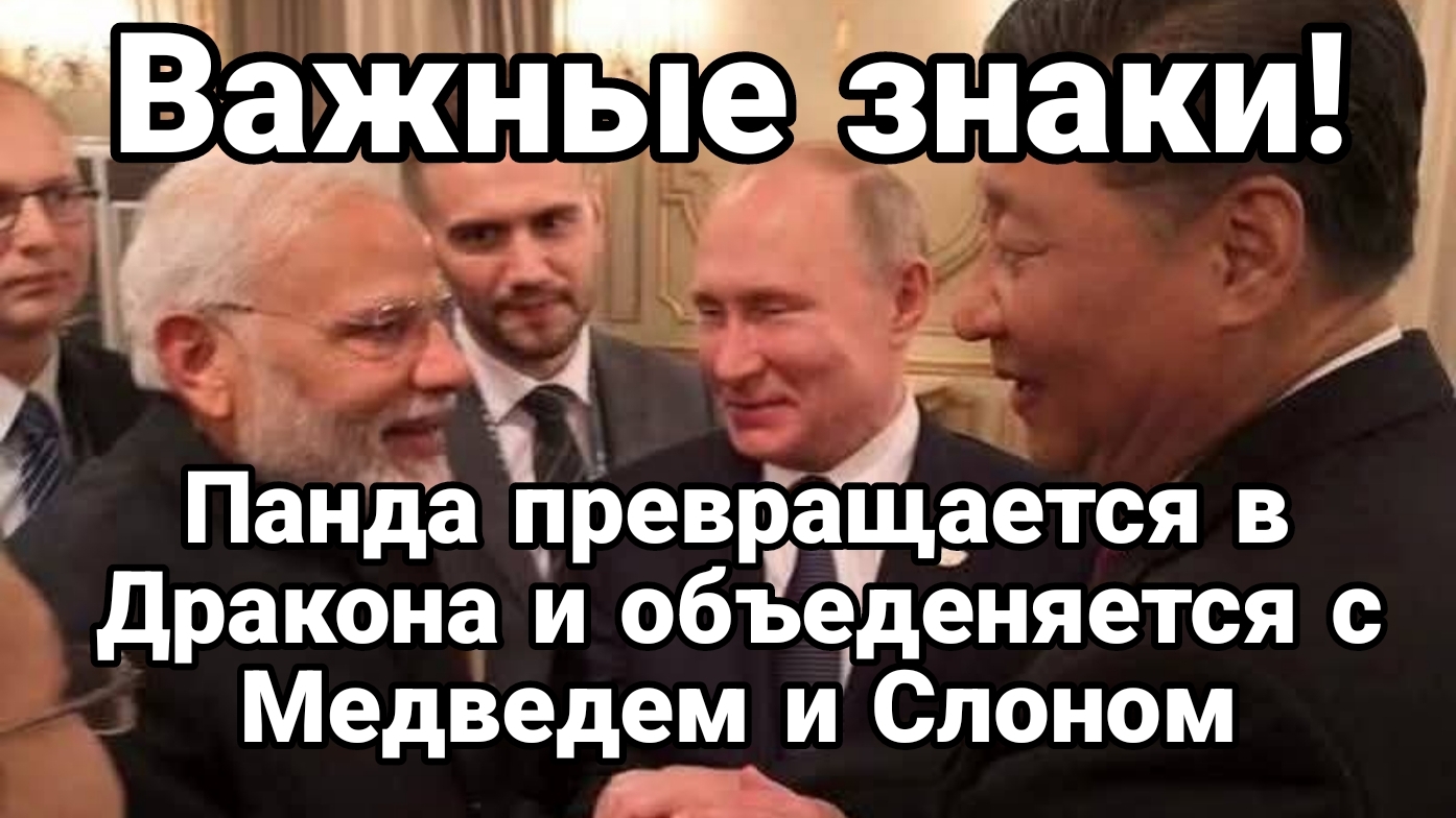 Важные ЗНАКИ САММИТА ШОС! Панда превращается в Дракона