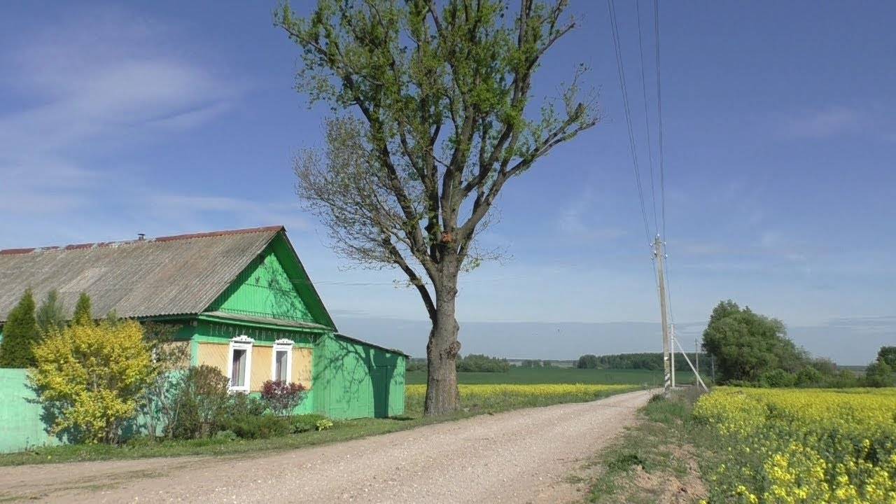 ИЗ ДЕРЕВНИ В ДЕРЕВНЮ! ГРИБНАЯ ВЫЛАЗКА! КАБАНЬИ ТРОПЫ!