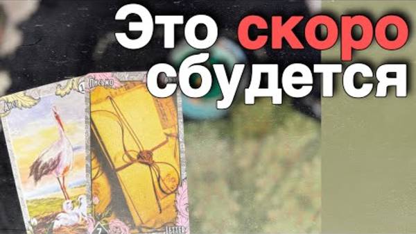 ❗️Что он ПОНЯЛ ПРО ВАС по-Настоящему... 🌼🧡♣️ таро расклад ♥️ онлайн гадание