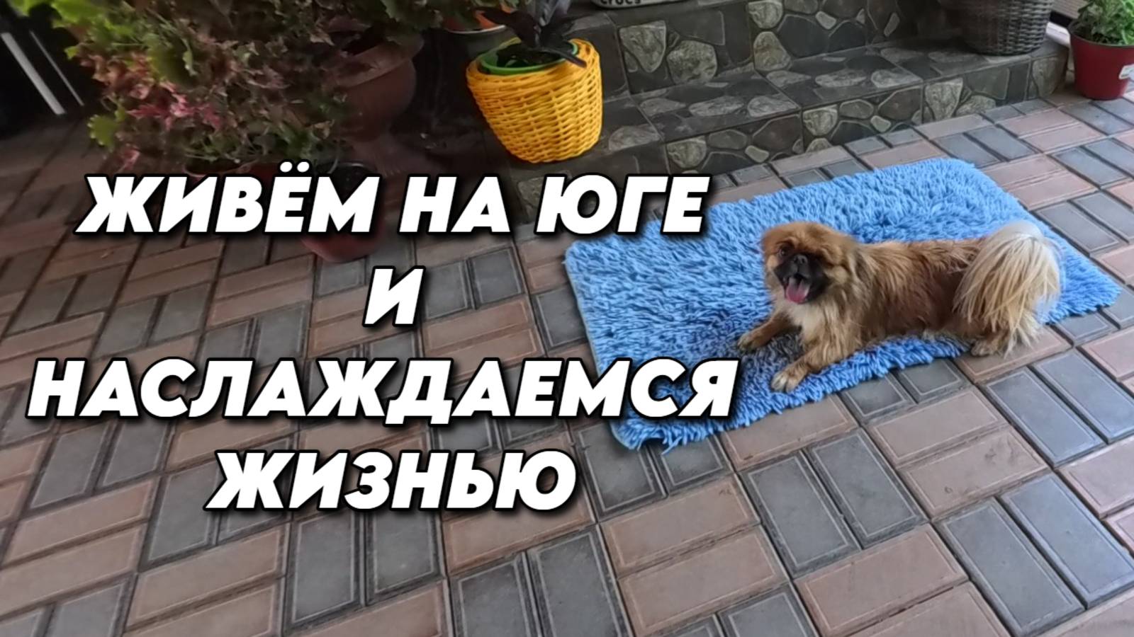 971 Рецепт огурцов в горчичной заливке/Жизнь после переезда на юг с Урала