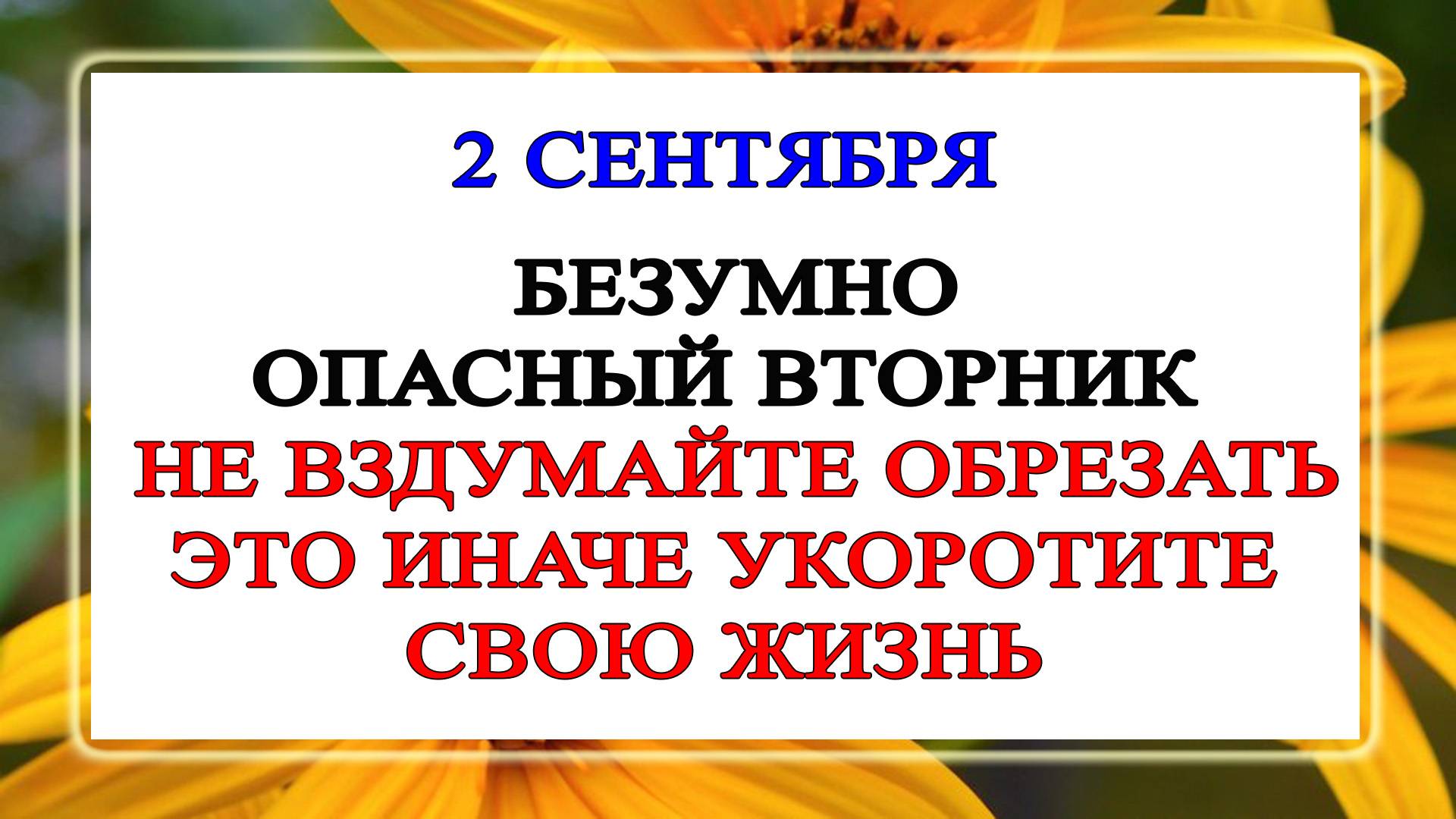 2 сентября Самойлов День. Что нельзя делать 2 сентября. Народные Традиции и Приметы Дня.