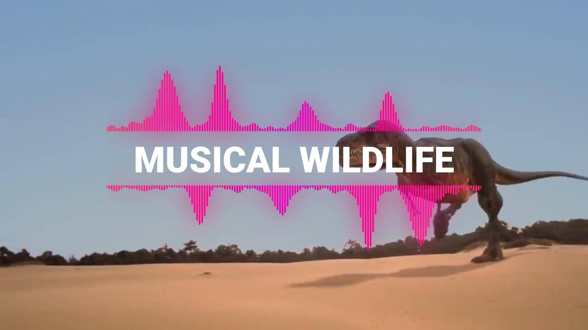 Madzhik Mix - Музыкальная дикая природа (MUSICAL WILDLIFE)
