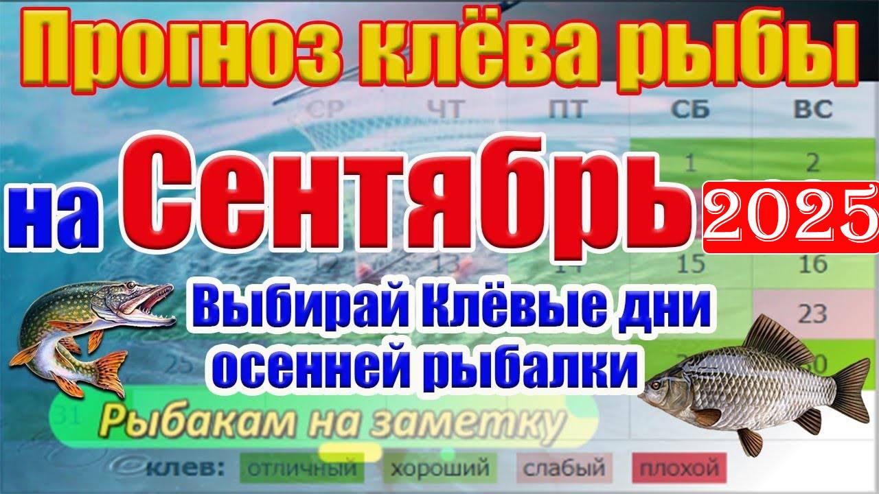Прогноз клева рыбы на СЕНТЯБРЬ 2025 года. Лунный календарь рыбака. Календарь рыбака на СЕНТЯБРЬ