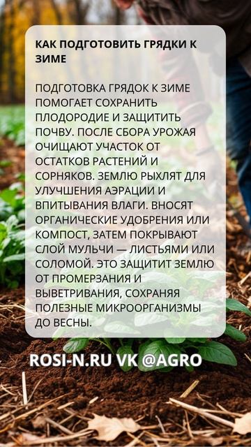 Как подготовить грядки к зиме
