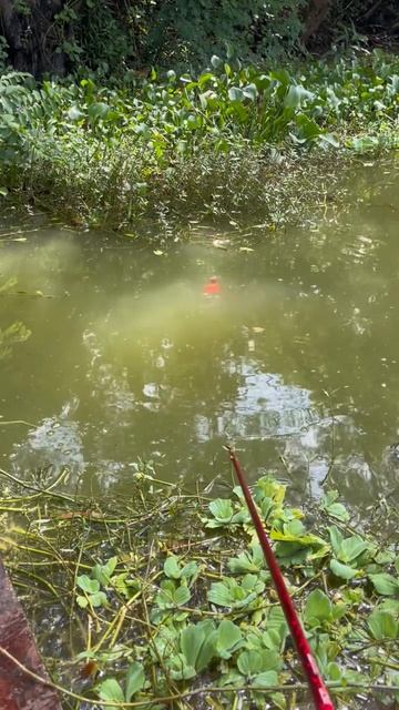 Как вам рыбалка? 🎣
