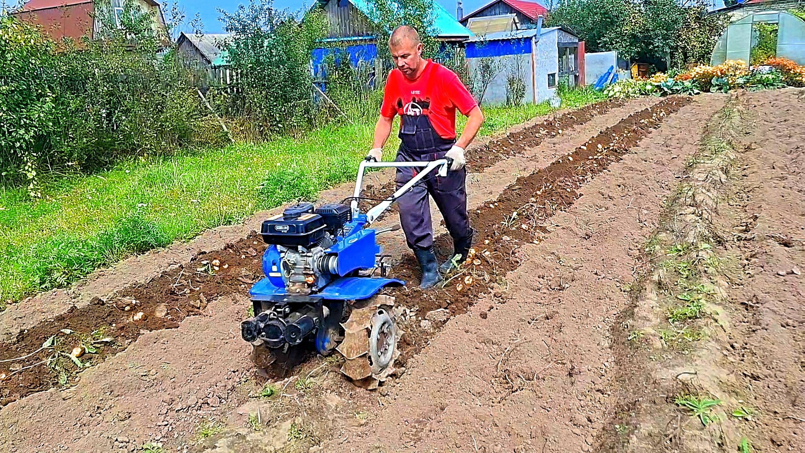 Выкопать картошку легко и быстро.