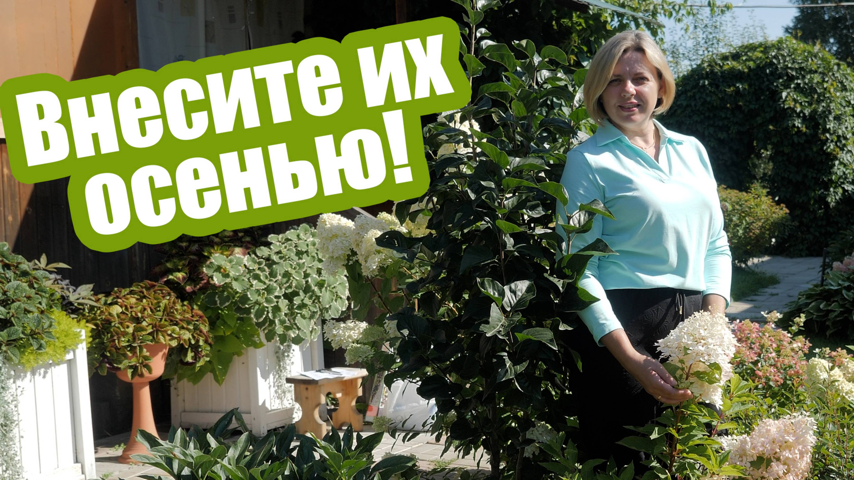 Удобрения осенью: что внести в почву и чем подкормить растения