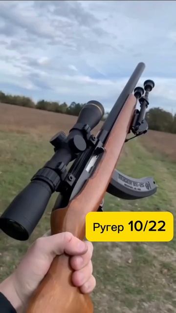 Ругер 10/22🎯