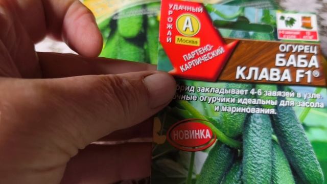 Какие огурцы сажаю.
Каждый год с богатым урожаем.
