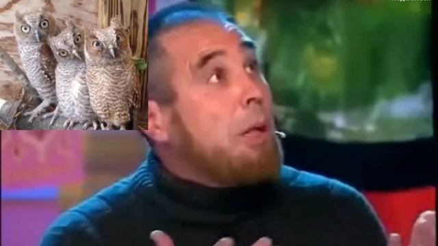 Явно кто-то в Начальной Городской Школе был преуспевающим по рисованию