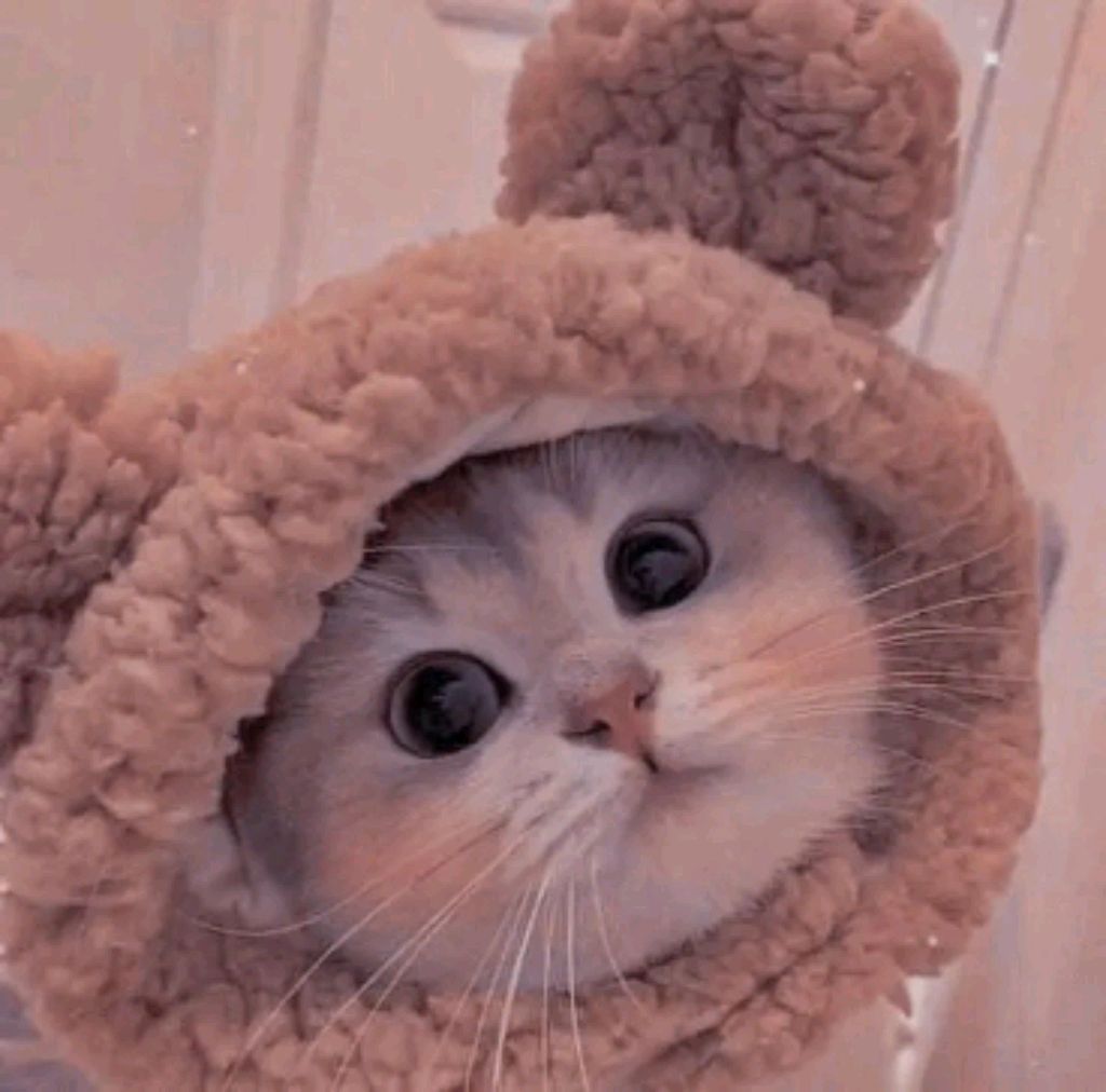 сальто вперёд