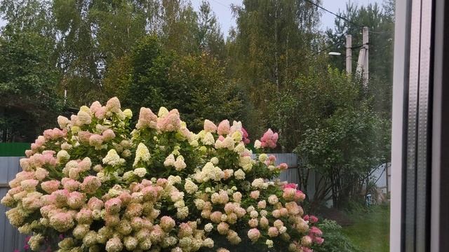 Что-то похолодало. Затопила печку.
