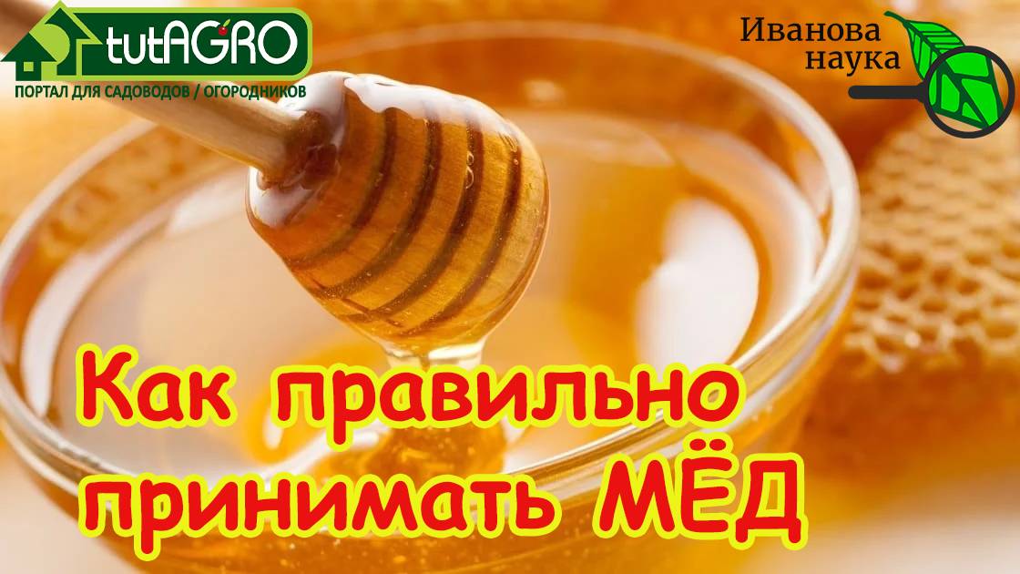 ЕДИМ МЁД ПРАВИЛЬНО! Сколько можно мёда диабетикам и пожилым? Когда есть мёд? Мёд и сахар в крови.
