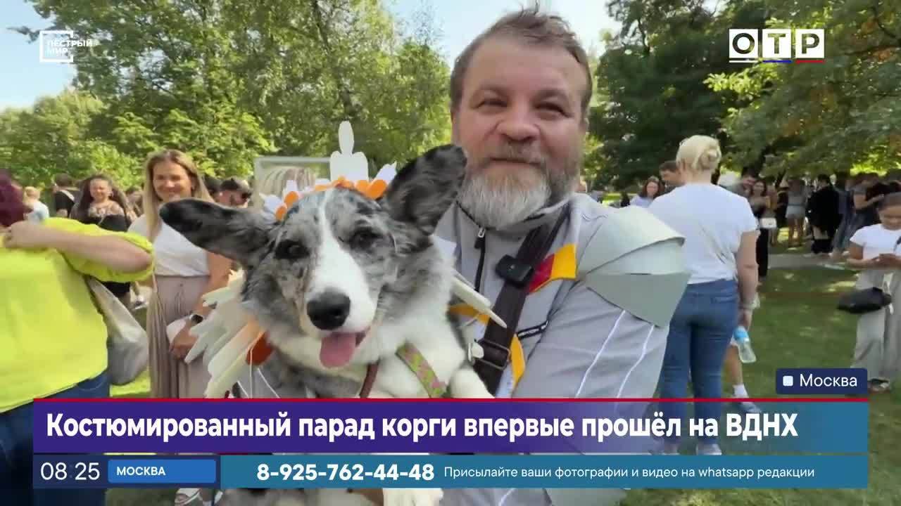 Костюмированный парад корги впервые прошел на ВДНХ